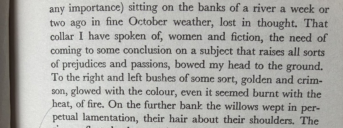 Dr Bryony Armstrong (she/her) tweet media