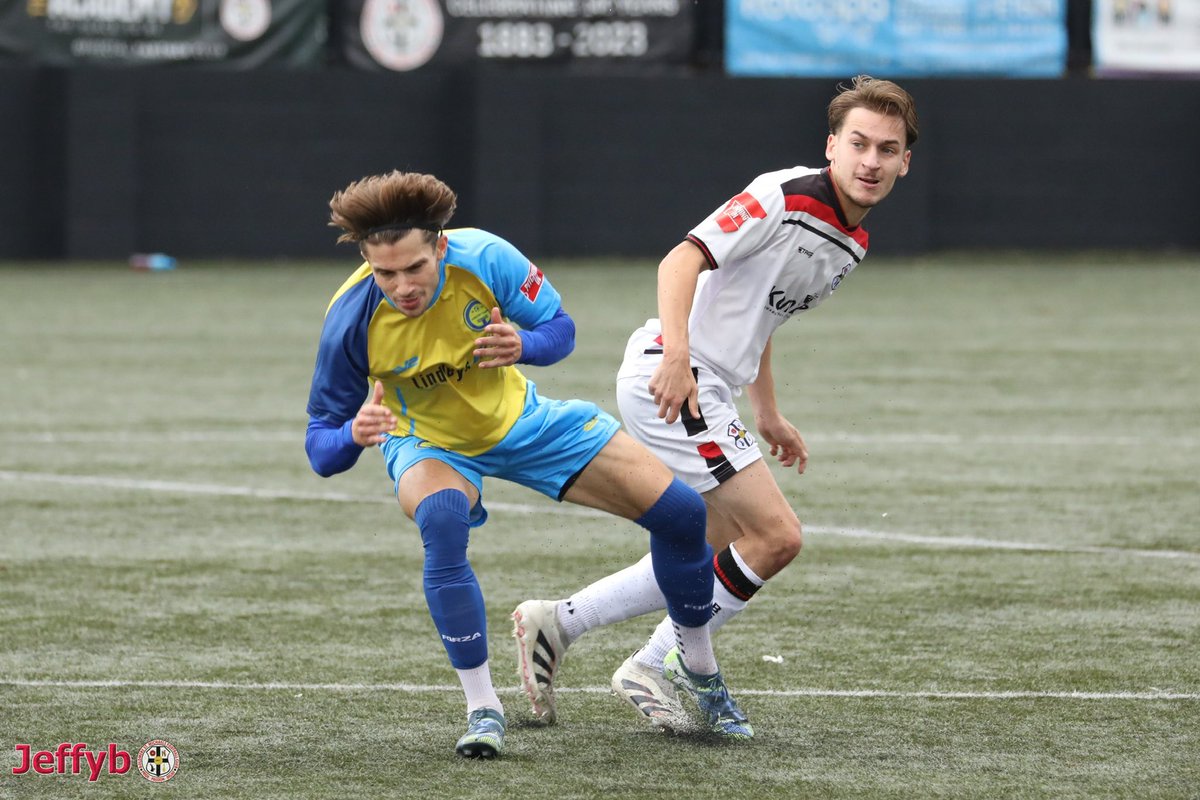 Dan Brown tweet media