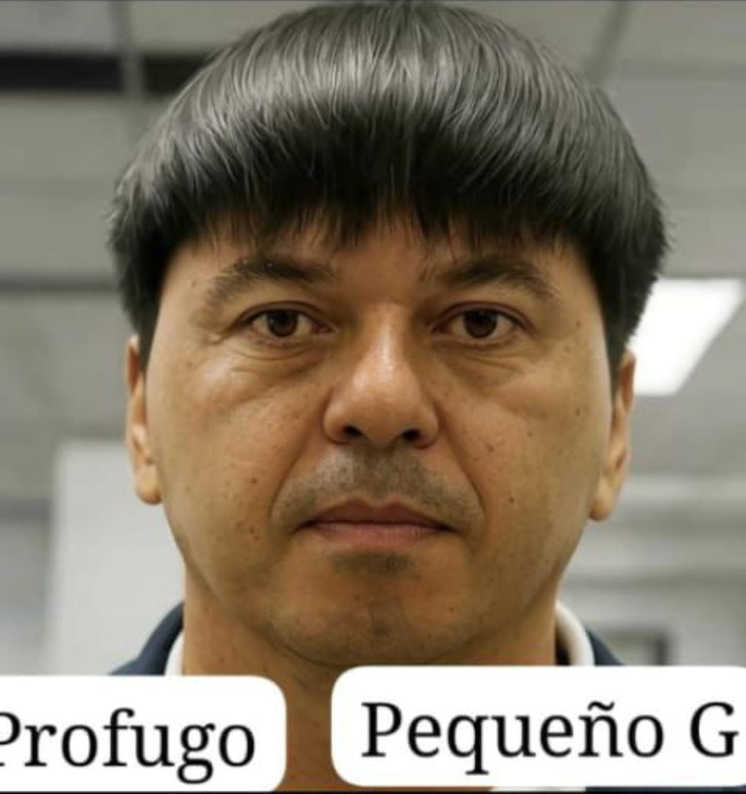 Bruno Bianchi (@brunobianchi63) on Twitter photo 