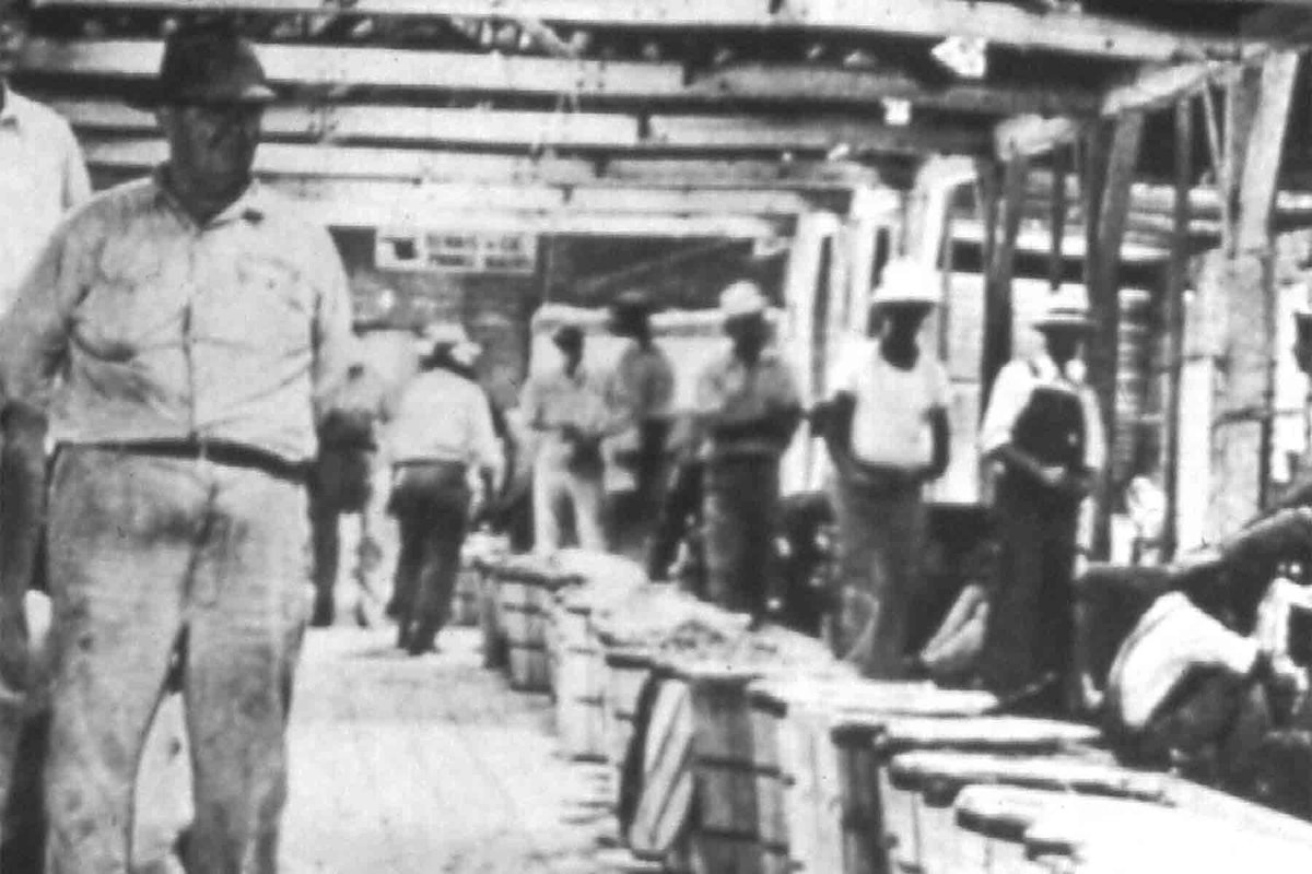 Visit Florence SC tweet media