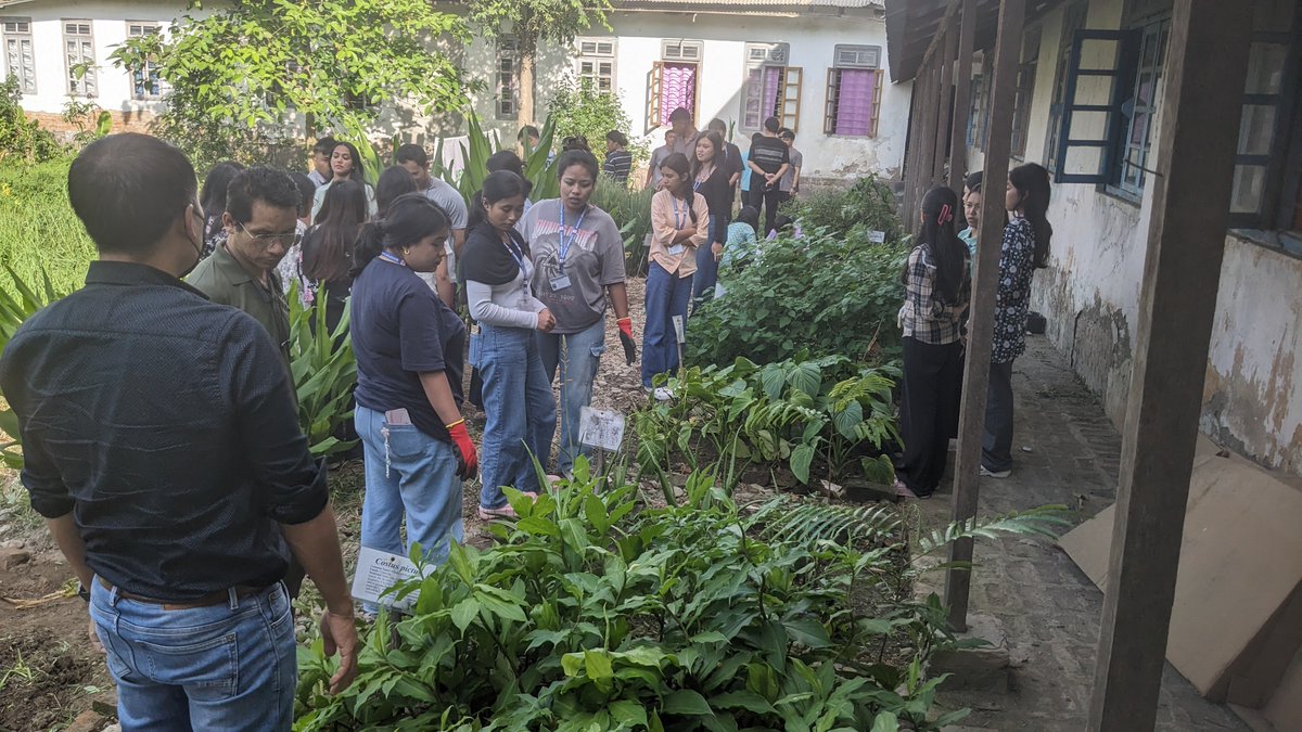 Lab_CGIFT's tweet image. #Conservation of the medicinal #plants through #Herbal Garden in @MU_Forestry @ManipurUniverse