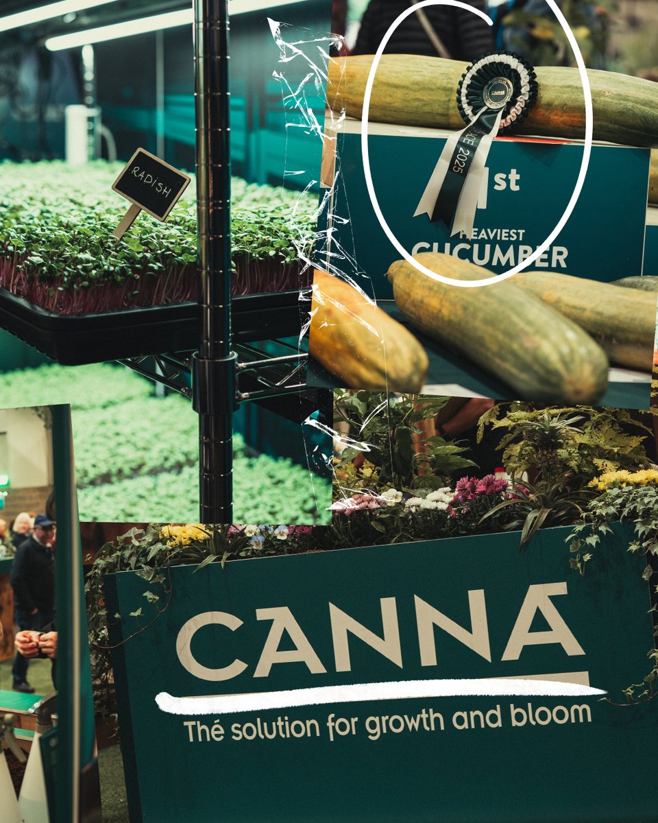 The growers showed up, the giants showed off, and Malvern Autumn Show delivered! 

Swipe through for some of the best moments of this year's show! 

#qualityprovesitself