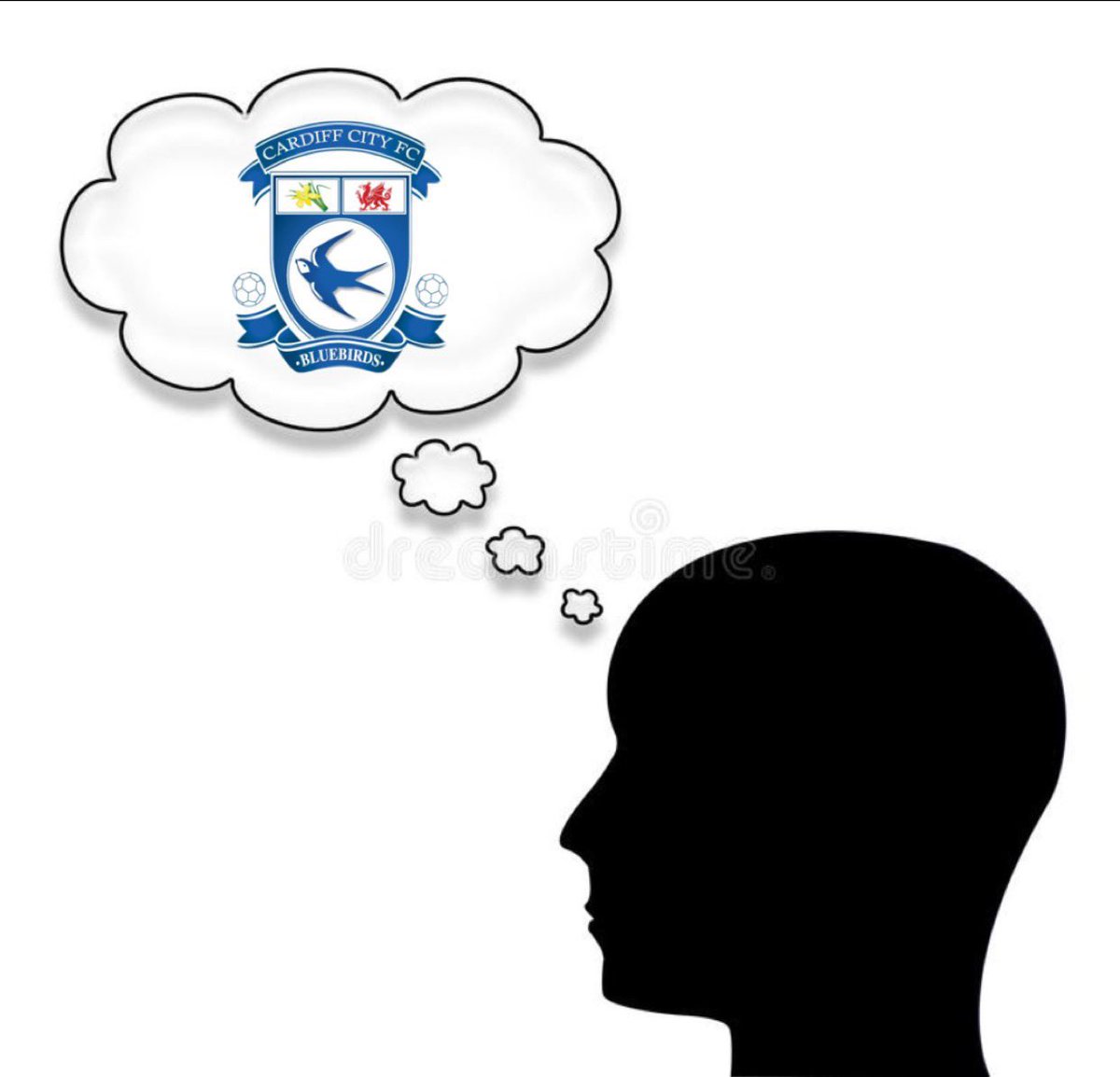 Ninian Talk 🐦 (@ninian_talk) on Twitter photo 