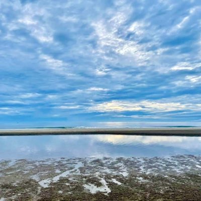 PairochT76654's tweet photo. #NewProfilePic https://t.co/5Y0P8zXilf