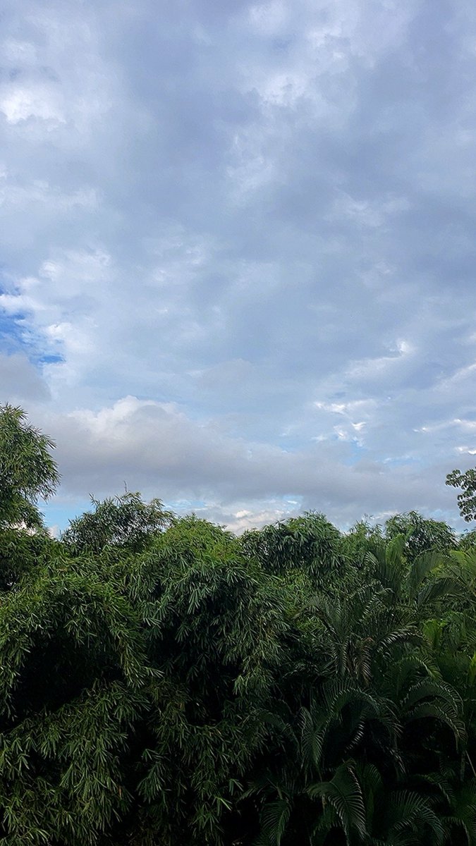 La llegada de octubre. Buen día. #DesdeElOasis