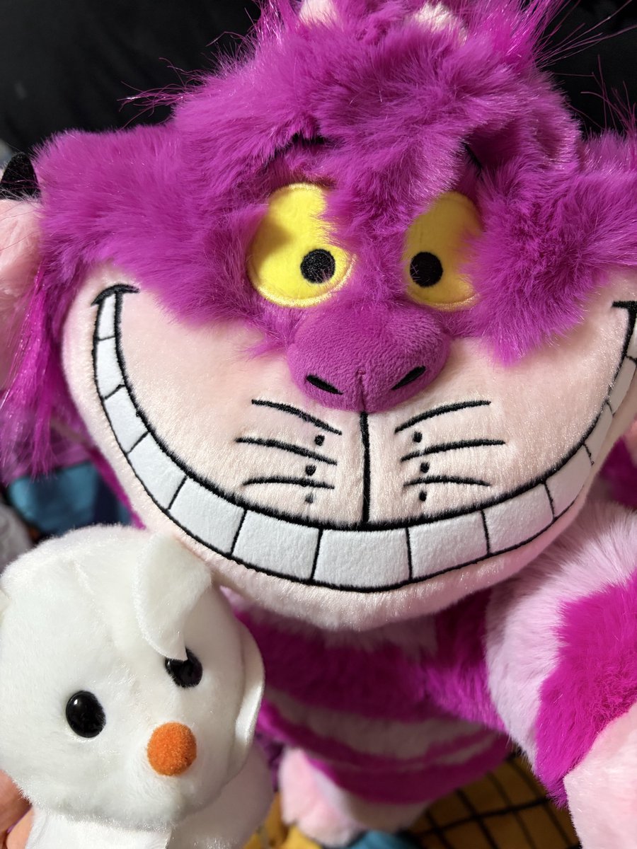 チェシャ猫 チェシャ猫のお顔がインパクト大！セガプライズ ディズニー