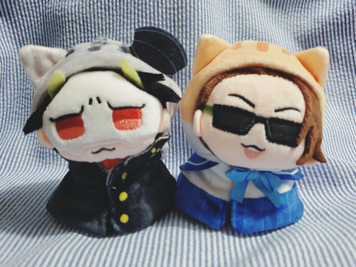 _shi93_'s tweet image. フォロワーさんがやってたぬいケープの天才的な使い方見てやりたい〜🥺ってなってたやつ❣️
めちゃかわだ~~~~~~~~(՞ ܸ. .ܸ՞)

おそろいジャージと不良❤️マドンナ💙
ずっと家にあったけどなかなか合う子いなかったからうれしいᐡ ̳ᴗ  ̫ ᴗ ̳ᐡ♡
#MSSPフォト