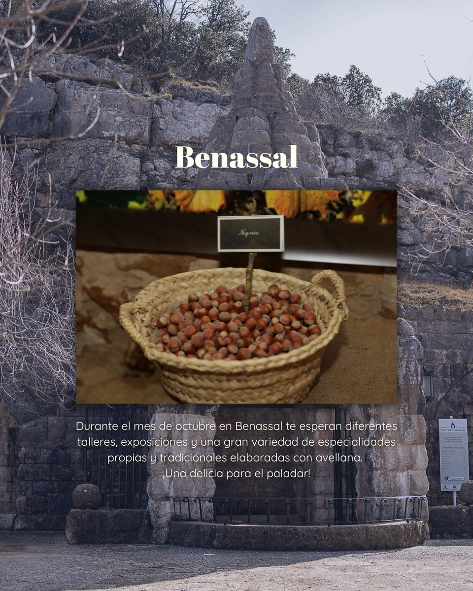turcastellon's tweet photo. El otoño ya está aquí y nuestra provincia está llena de planes. 🍁

👉🏼Estos 3 destinos son perfectos para visitar este octubre. Disfruta de su patrimonio, gastronomía y tradiciones que te conquistarán.

#TurismoDeCastellón #CastellónInfinitamenteÚnica #PlanesCastellón https://t.co/lRaGJAwtnq
