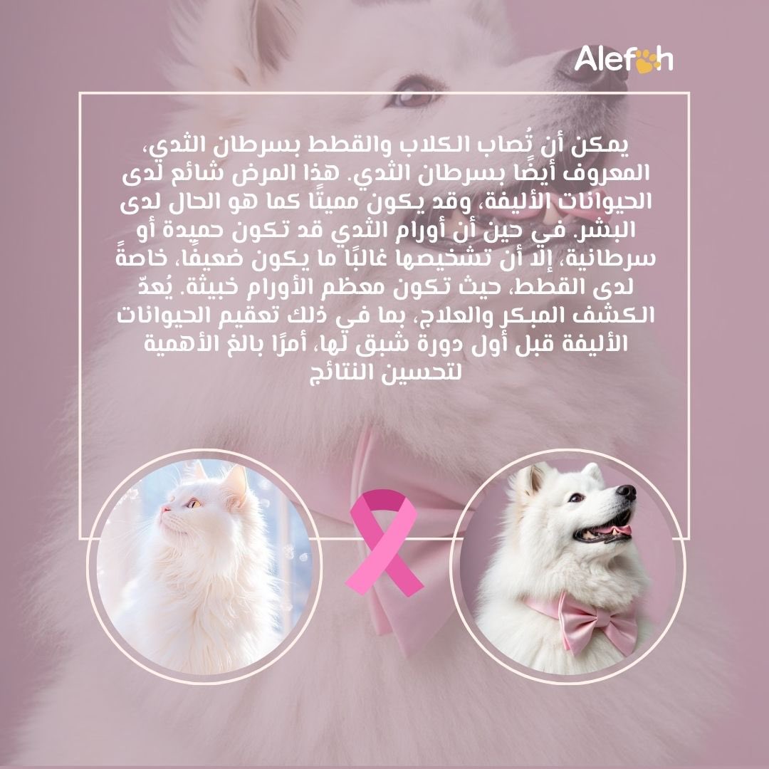 alefah_sa's tweet photo. #BreastCancerAwarenes
#mammaryglandcancer https://t.co/v6i7ayJM7w