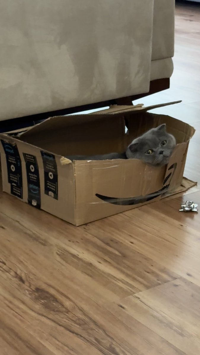 cemregenc's tweet photo. Ferit 💜 Amazon Prime Box https://t.co/q7NVbi59nn
