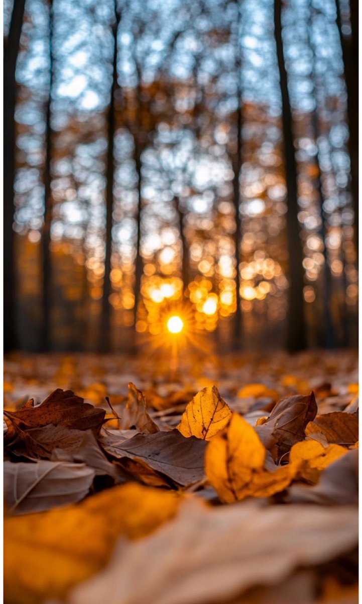 Octubre🍁 inicia el último trimestre del año, es el momento perfecto para sacar balance, hacer los ajustes y acelerar para terminar de conquistar esas metas que nos propusimos a inicio de año. 

¡No hay tiempo para perderlo!