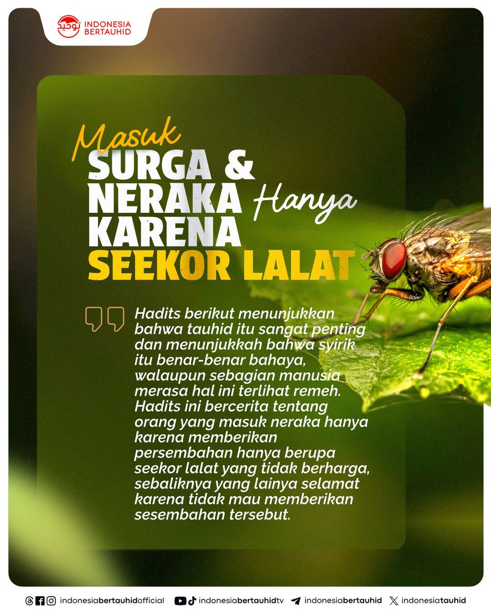 indonesiatauhid's tweet photo. Hadits ini menunjukkan bahwa seseorang terkadang terjatuh dalam kesyirikan dan ia tidak sadari, menunjukkan ia tidak peduli dan tidak mau mempelajari agama. (lihat Fathul Majid hal. 200)

BACA SELENGKAPNYA:
https://t.co/i2W6Jq5NIW https://t.co/ol4A5S4pfk