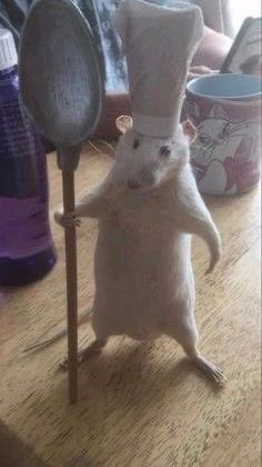 ~HAPPY BIRTHDAY DRISHH🥳💕~

      15 days to go meri lillu 🥺❤️
               @butternaan49 🫰🏼