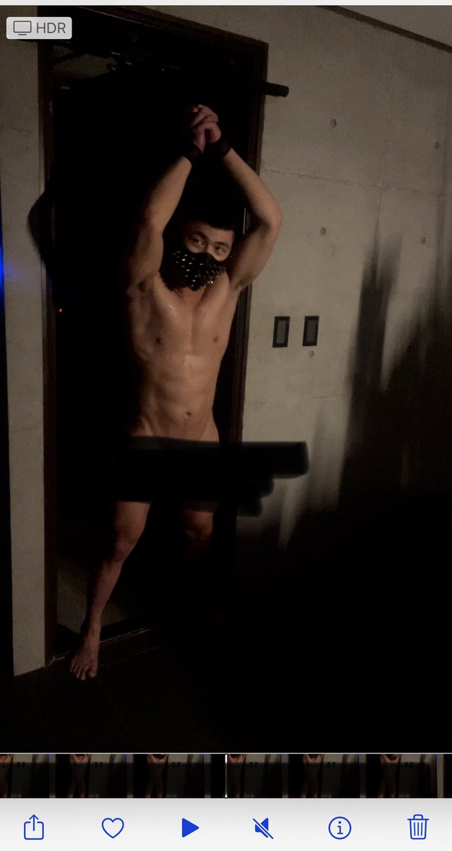 Gavin 🐕🐕 tweet media