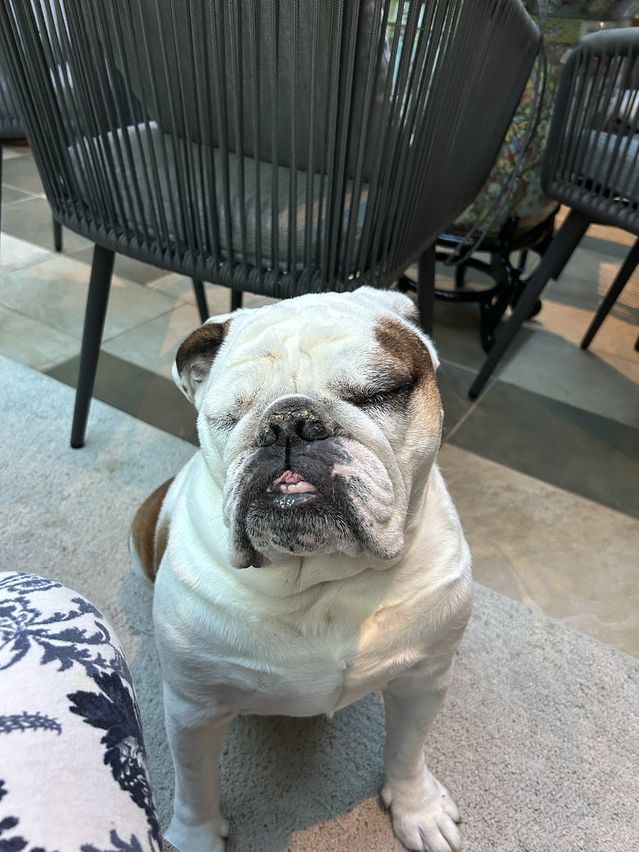 When human is so slow you fall asleep waiting for a cookie.