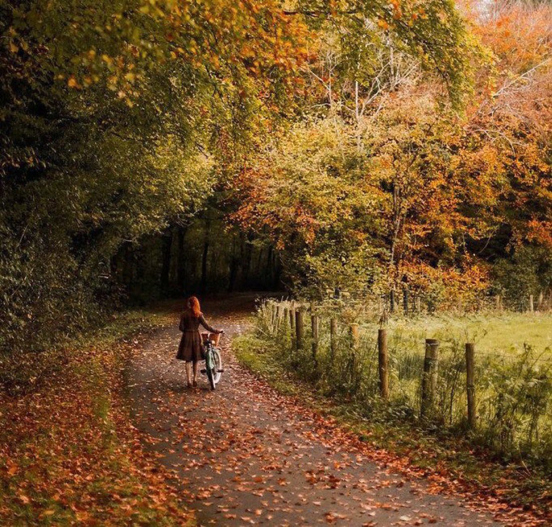 mlk_aydnn's tweet photo. Eylül toparlandı gitti işte
Ekim filan da gider bu gidişle 
Tarihe gömülen koca koca atlar 
Tarihe gömülür o kadar. 

Turgut Uyar 🍁 https://t.co/6NFAMV985u