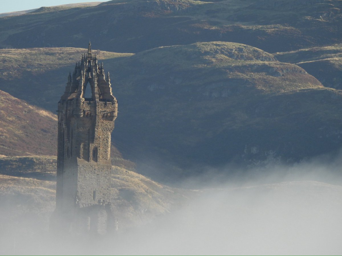 Robert Gibb tweet media