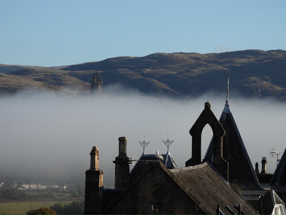 Robert Gibb tweet media