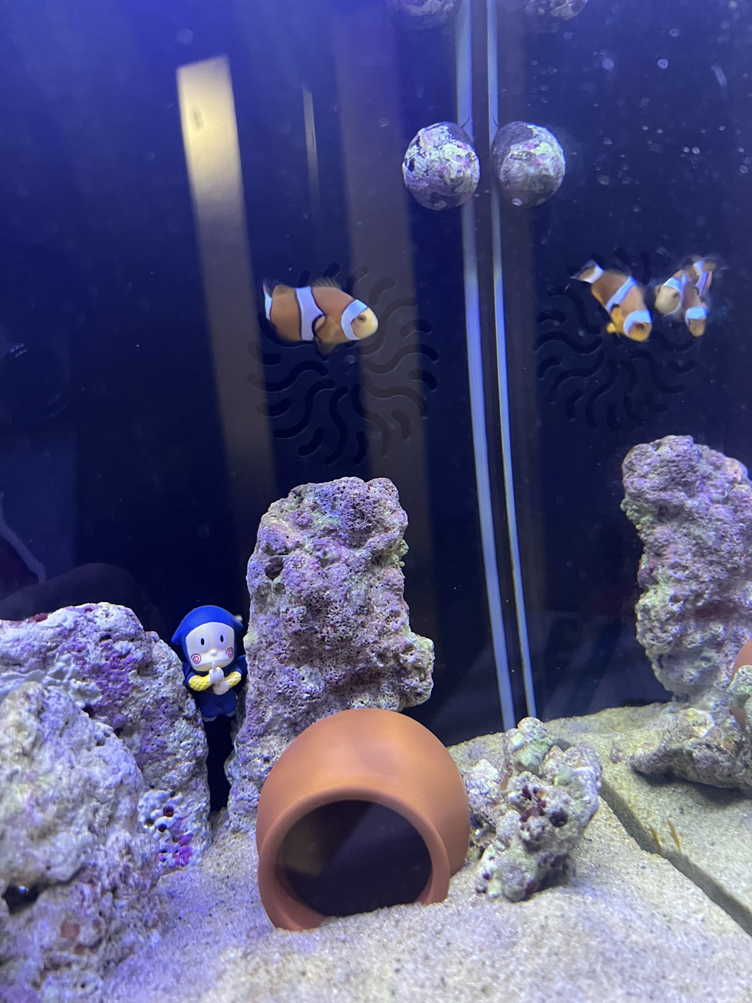 はなくまです！12/22まで 麻(ま) (@mksk27272) / X