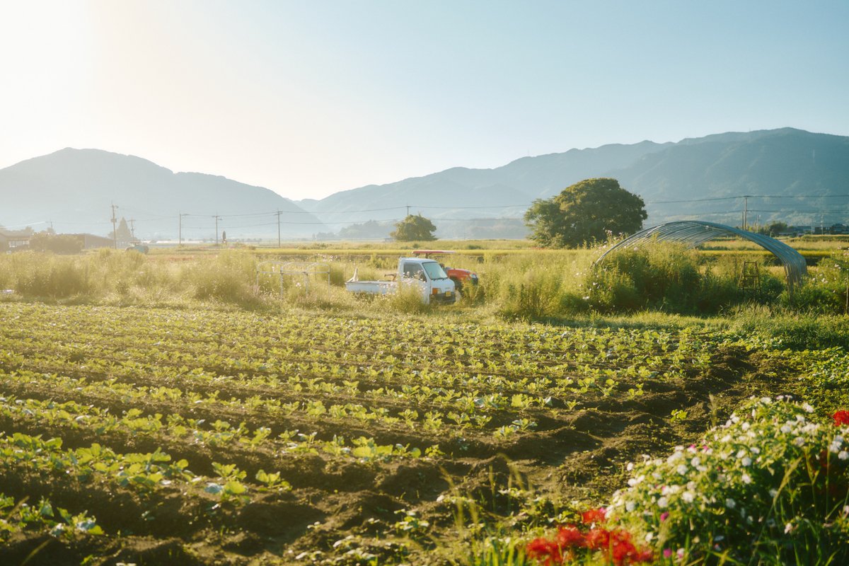 shintake_photo's tweet photo. Japanese Countryside https://t.co/6Nyw09NSK9