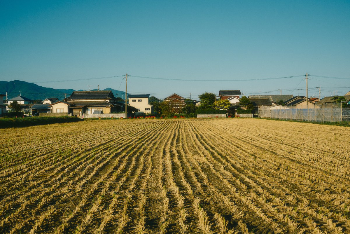 shintake_photo's tweet photo. Japanese Countryside https://t.co/6Nyw09NSK9