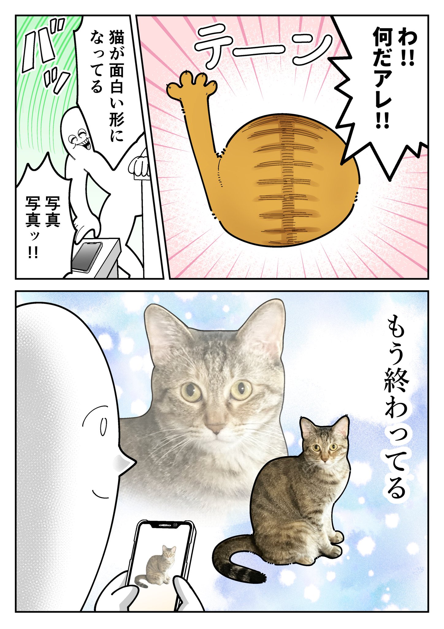 そうねこ❁⃘ページ G2LEZ-jaIAAX9Fn.jpg:large