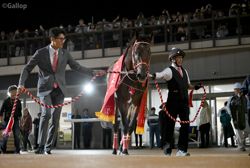 gallop_keiba's tweet image. 船橋競馬場で行われた #日本テレビ盃 は1番人気 #フォーエバーヤング が優勝🏆
直線で悠々突き抜け、2馬身半差の完勝！ 今シーズン初戦をクリアしました！