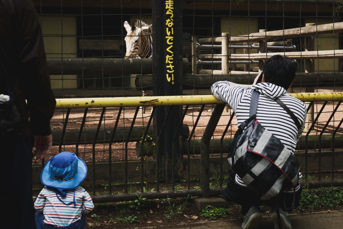 25日（土）10時に新川崎駅改札（一か所）でたところ
集合でCo1さん（右の方）と動物園で。2人とも普通に動物撮れませんが写真教室開催します。　
10名程、会費7,000円となります。申し込みは私のDMでお願いします！　※南武線鹿島田駅から新川崎まで近いので南武線でも来れます