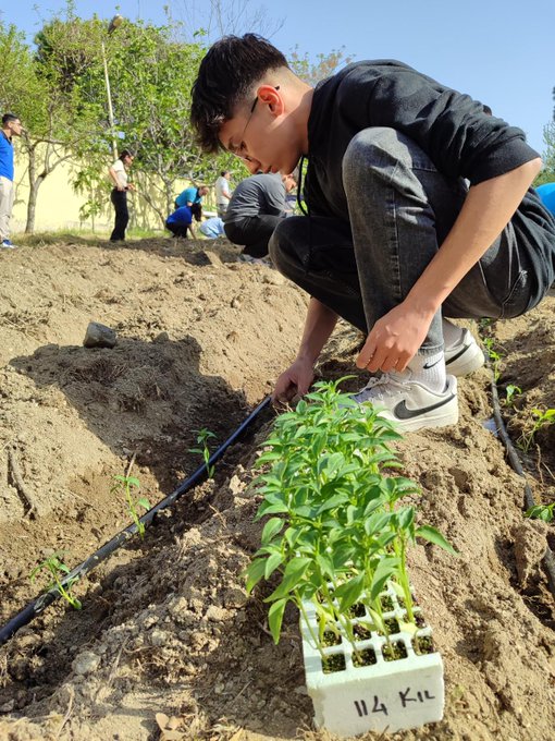 Students planting seedlings in a garden, with one holding a tray labeled "14 K" and another installing a black irrigation tube in the soil. Other students work nearby on similar tasks under a clear sky with trees and buildings in the background. Students in blue uniforms installing solar panels on a rooftop, handling large panels under a bright sky with mountains and buildings visible. Students in blue uniforms adjusting equipment on an electrical panel indoors, with one reaching for a control and others observing.