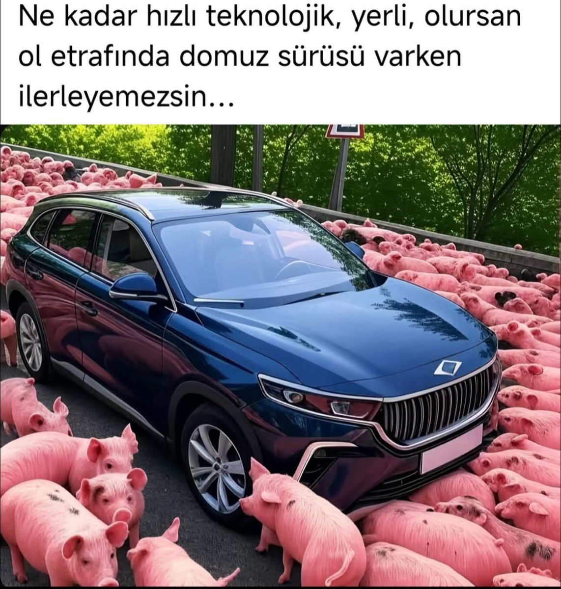 Muhammet Hanifi AKSAKAL (@mhaksakal) on Twitter photo 