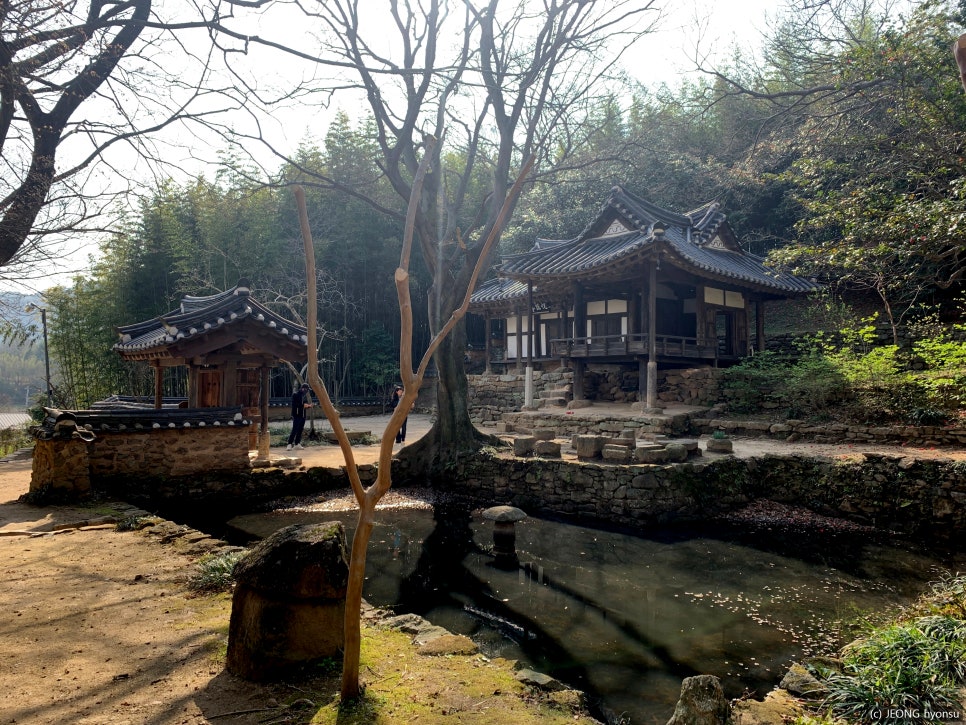#보성 #열화정
-
중국 시인 도연명의<귀거래사>에서 따온 열화라는 말은 기쁘게 이야기한다라는 뜻으로 일가친적들간의 우애와 화목을 강조하는 말이라 한다. 요즘같은 가을 날, 방문하기 딱 좋은 곳이다. 옷소매 붉은 끝동, 혼례대첩, 옥씨부인전 등 최근에는 드라마 촬영지로도 유명해졌다.