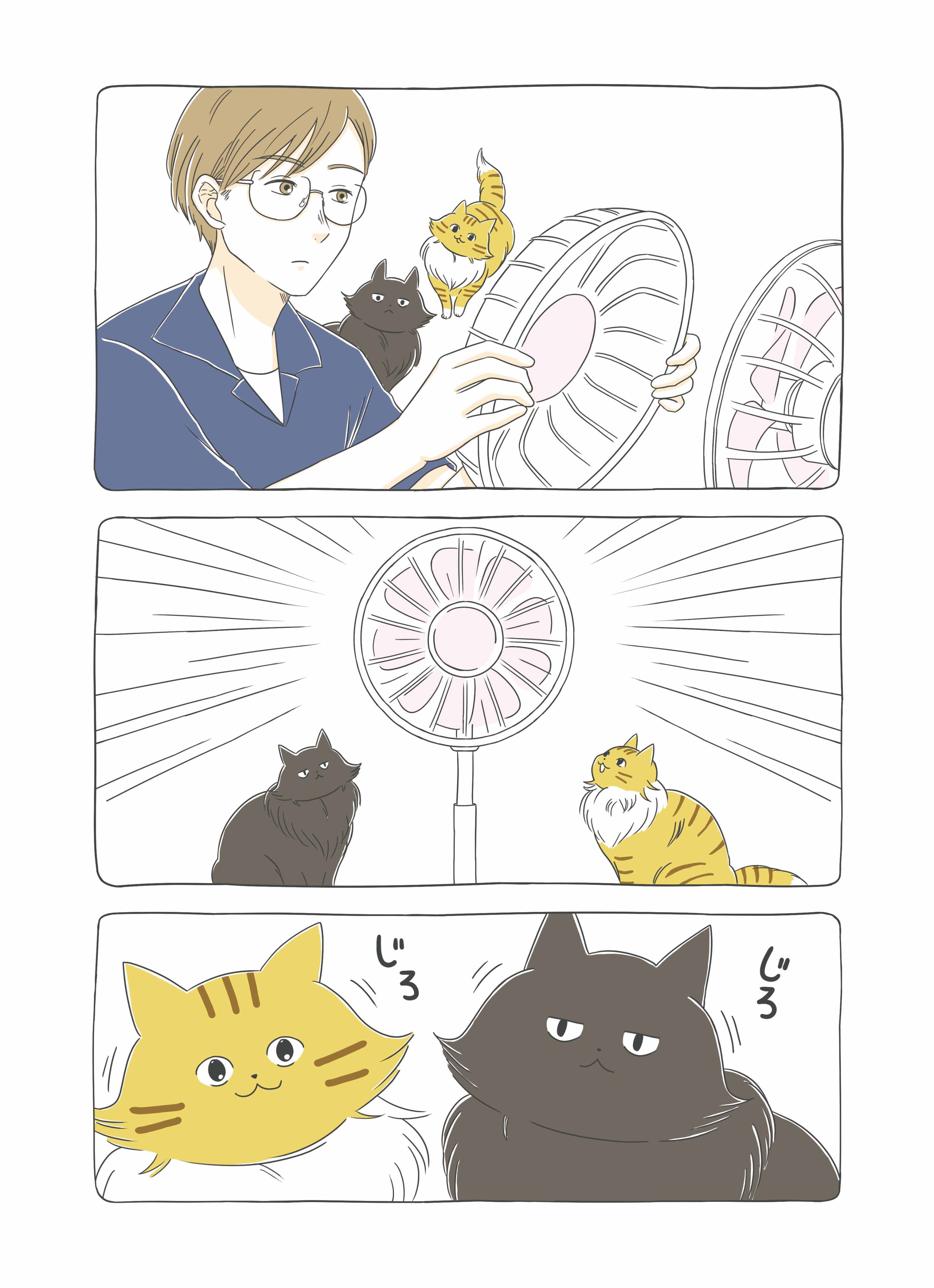 ねこまき様 ねこまき ミューズワーク 2025年03月13日（木）ねことじいちゃん