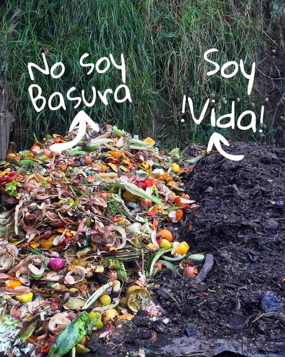 🌱 ¡Transforma tus desechos en oro para el jardín! ♻️