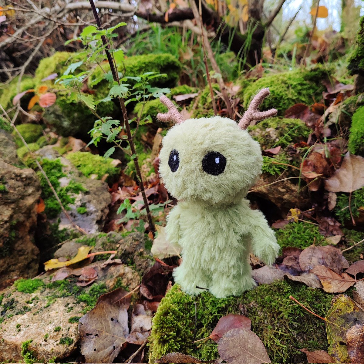noe_de_larche's tweet photo. #floktober2025
Jour 1 : esprit de la forêt

Je recycle mais je ne ferai pas mieux que mon gardien de la forêt, il est littéralement dans le thème https://t.co/rC6Hd2NYx3