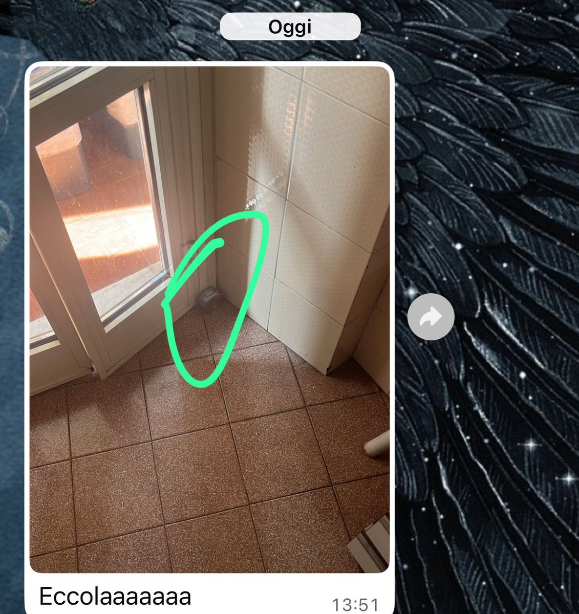 pondgitsune's tweet photo. Sono passati tre giorni ma FINALMENTE È USCITA LA SCATOLETTA DI TONNO https://t.co/2TWS4kxySB