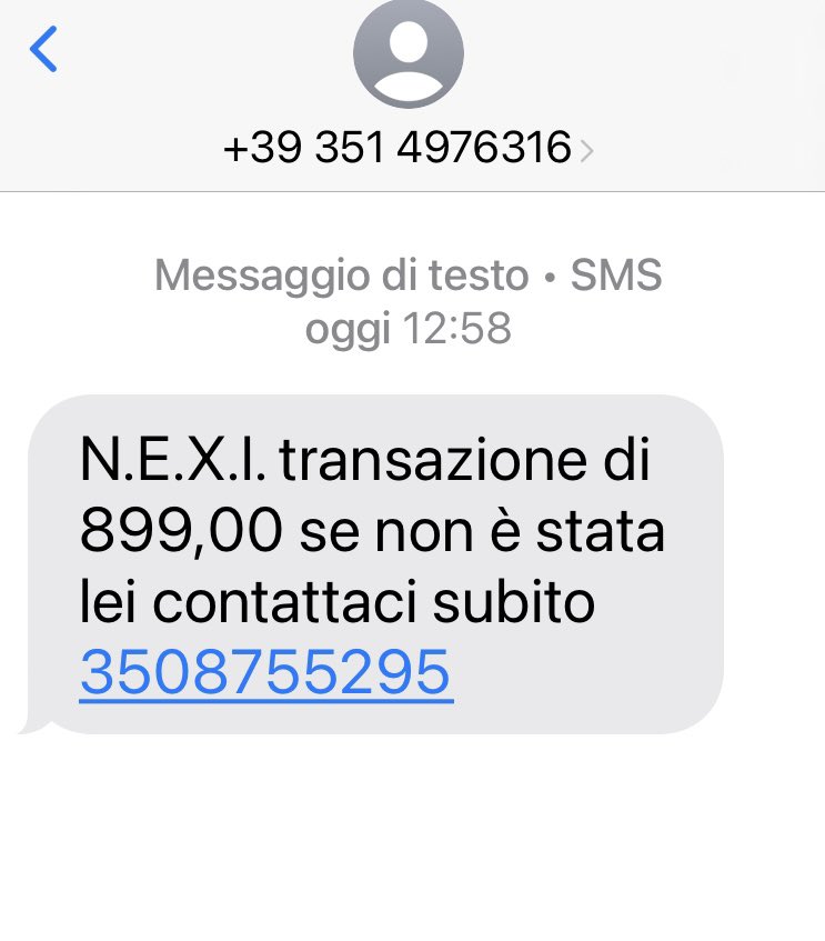 alvise barsanti 🐝💤🎄 tweet media