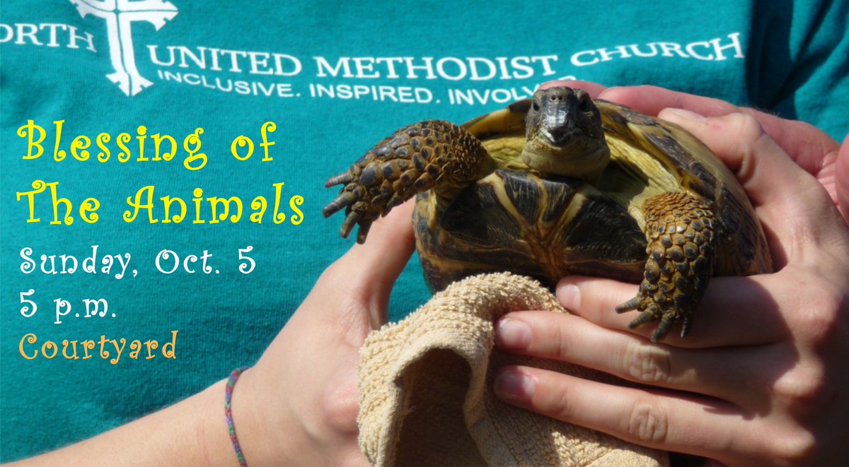 Bring your pets on Sunday so they can receive a special blessing! It's always fun!