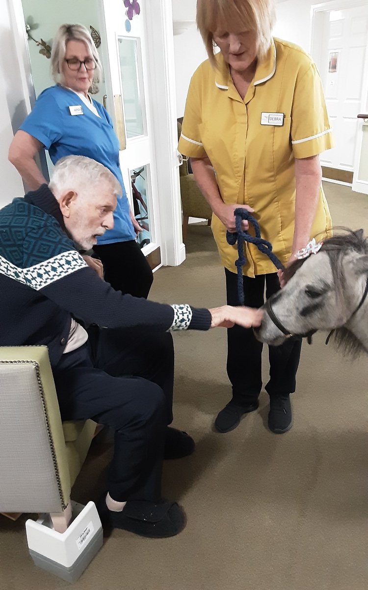 SomersetCare's tweet photo. Our wonderful homes have been celebrating the happiness that animals bring into our lives. 🐕🐈🐴🐦

From creative crafts to heart warming encounters, our residents have enjoyed wonderful moments together. 💛

#AnimalJoy #CreativeLiving #ResidentsActivities #FurryFriends https://t.co/q9efZ35eR3