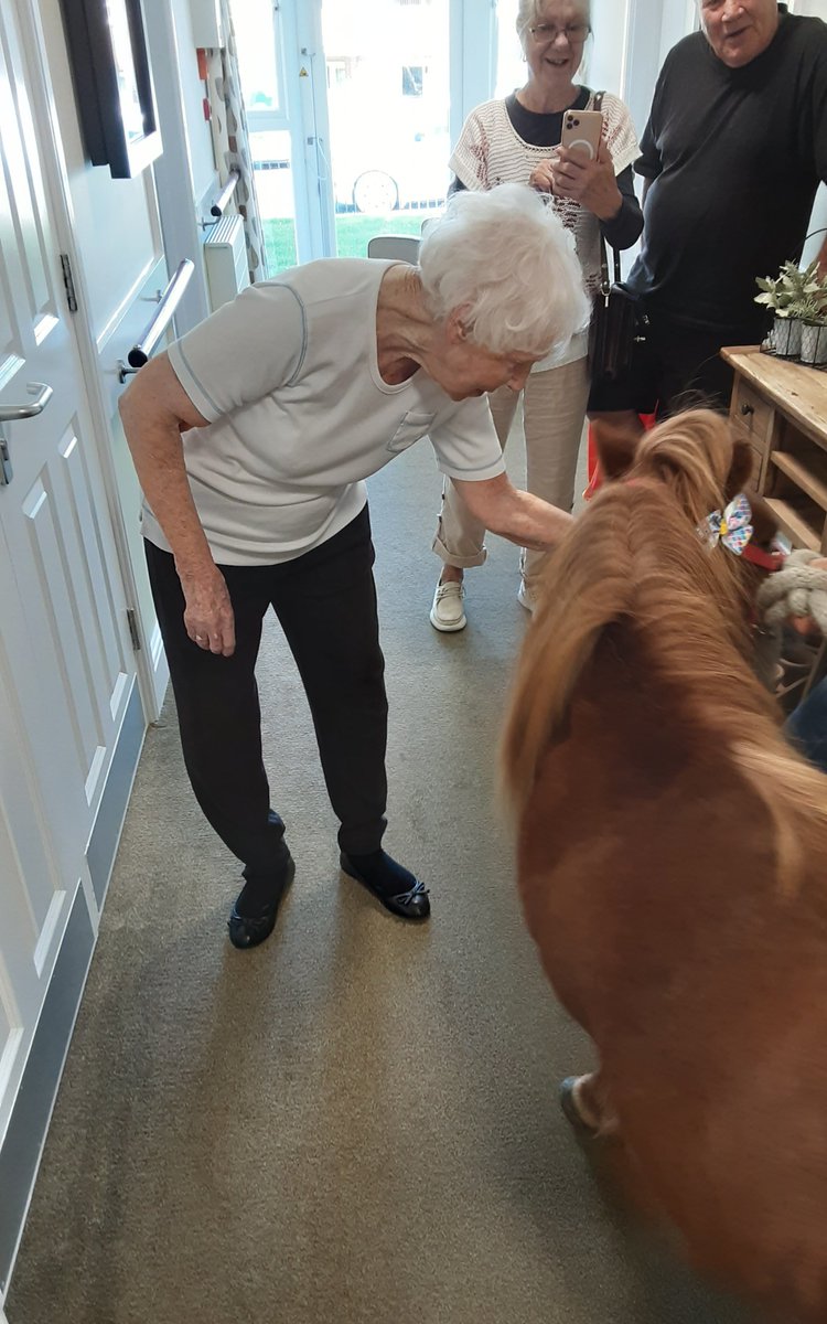 SomersetCare's tweet photo. Our wonderful homes have been celebrating the happiness that animals bring into our lives. 🐕🐈🐴🐦

From creative crafts to heart warming encounters, our residents have enjoyed wonderful moments together. 💛

#AnimalJoy #CreativeLiving #ResidentsActivities #FurryFriends https://t.co/q9efZ35eR3