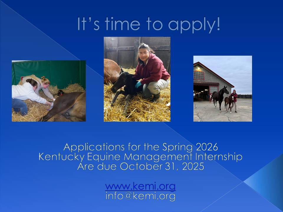 KEMI (@kyequineintern) on Twitter photo 