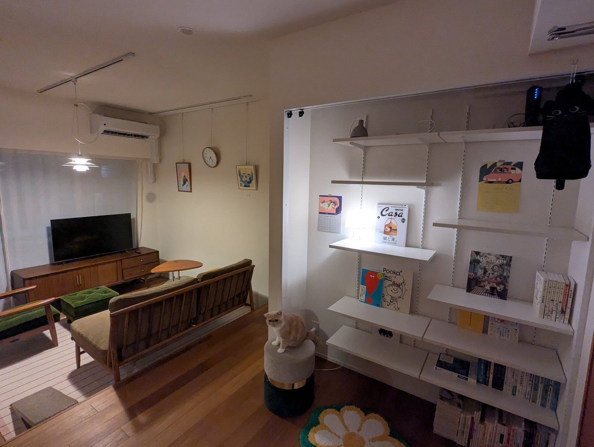 キャットタワーを買おうと思っていたけどクローゼットの扉を外したら無料でキャットタワーになった