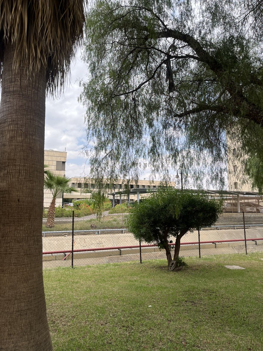 عبدالمحسن الزهيري tweet media