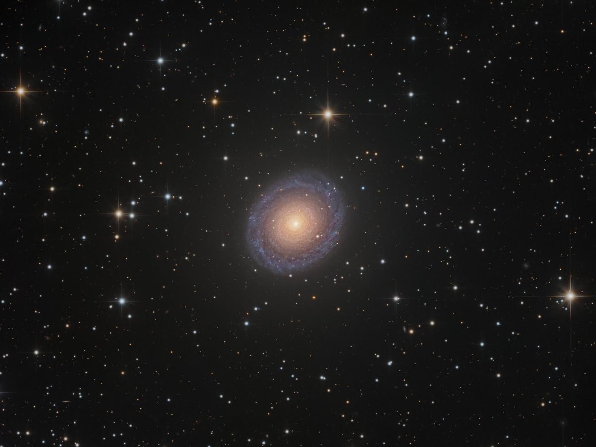 AstroBin's Image of the Day: "NGC 7217 - 44 hours collaboration" by Gerald and AMOS_Observatory

astrobin.com/1hb9zy/

#astrophotography