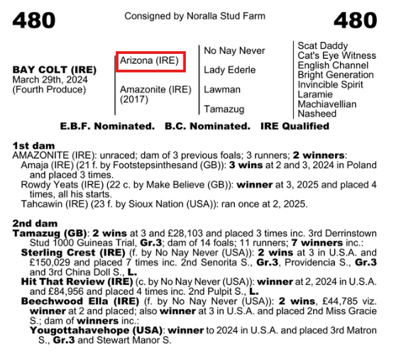 Goffs satışlarında tanıdık aygırların tayları el değiştiriyor. Şimdiye kadar en yüksek bedel ile Sioux Nation (USA) x Cream of The Crop (IRE) orijinli tay 65 bin Euro bedelle el değiştirdi. 
Arizona tayı 30.000€'a el değiştirdi şimdilik.