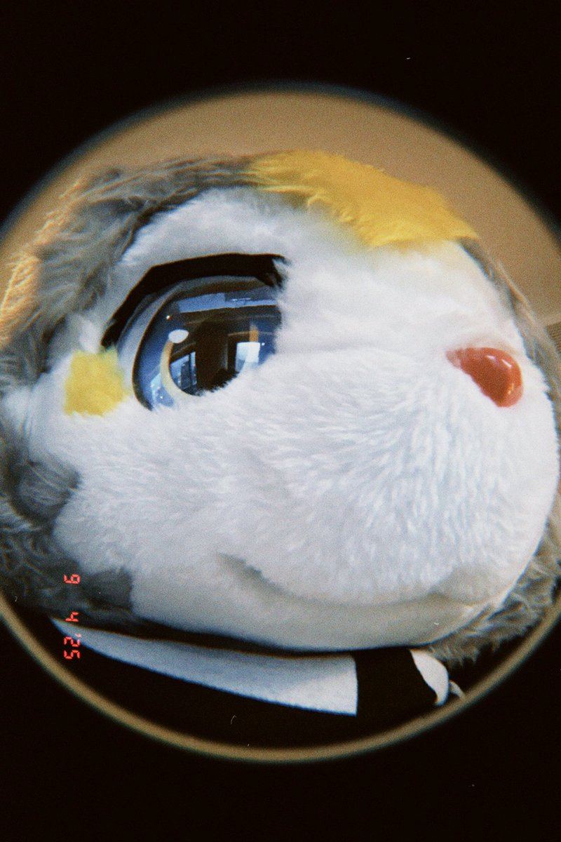 ClairDeRe's tweet photo. 📷@MatchaDoggy 把我拍得蠢蠢的你惭愧吗🤓 https://t.co/FtG9JQJeuJ