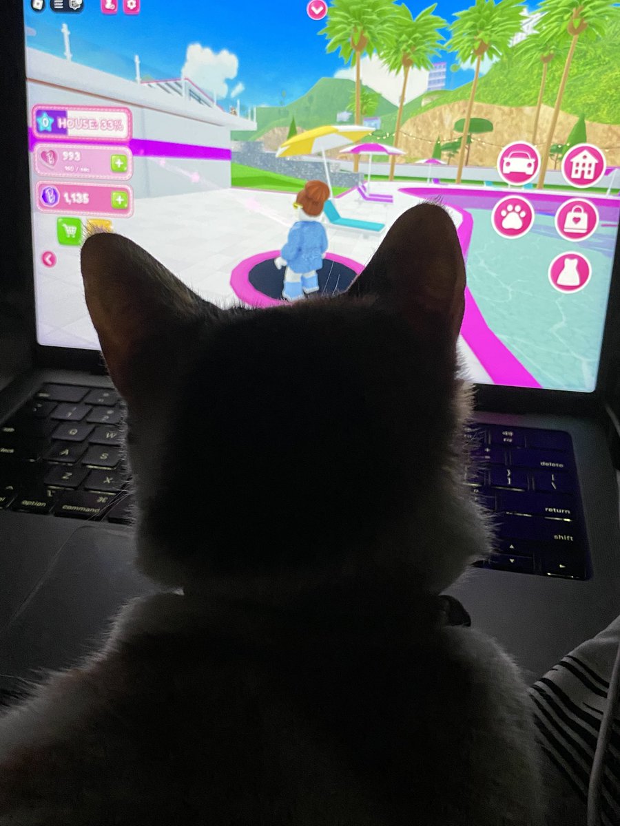 sumi ngk ngerti mancing, mainnya berbi aj jdny,,