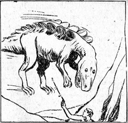 Iván Narváez tweet media