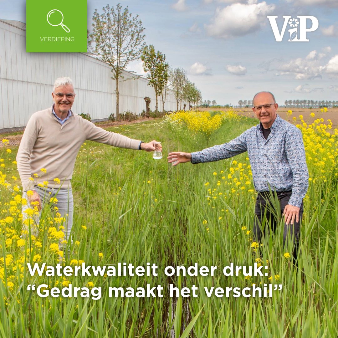 De tijd dringt, in 2027 moet Nederland voldoen aan de
Europese Kaderrichtlijn Water, terwijl de waterkwaliteit
in veel agrarische gebieden onder de maat blijft. 

Lees het volledige verhaal in ons magazine ViP of op
onze website!
iperen.com/kennis-nieuws/…
#water #emissie