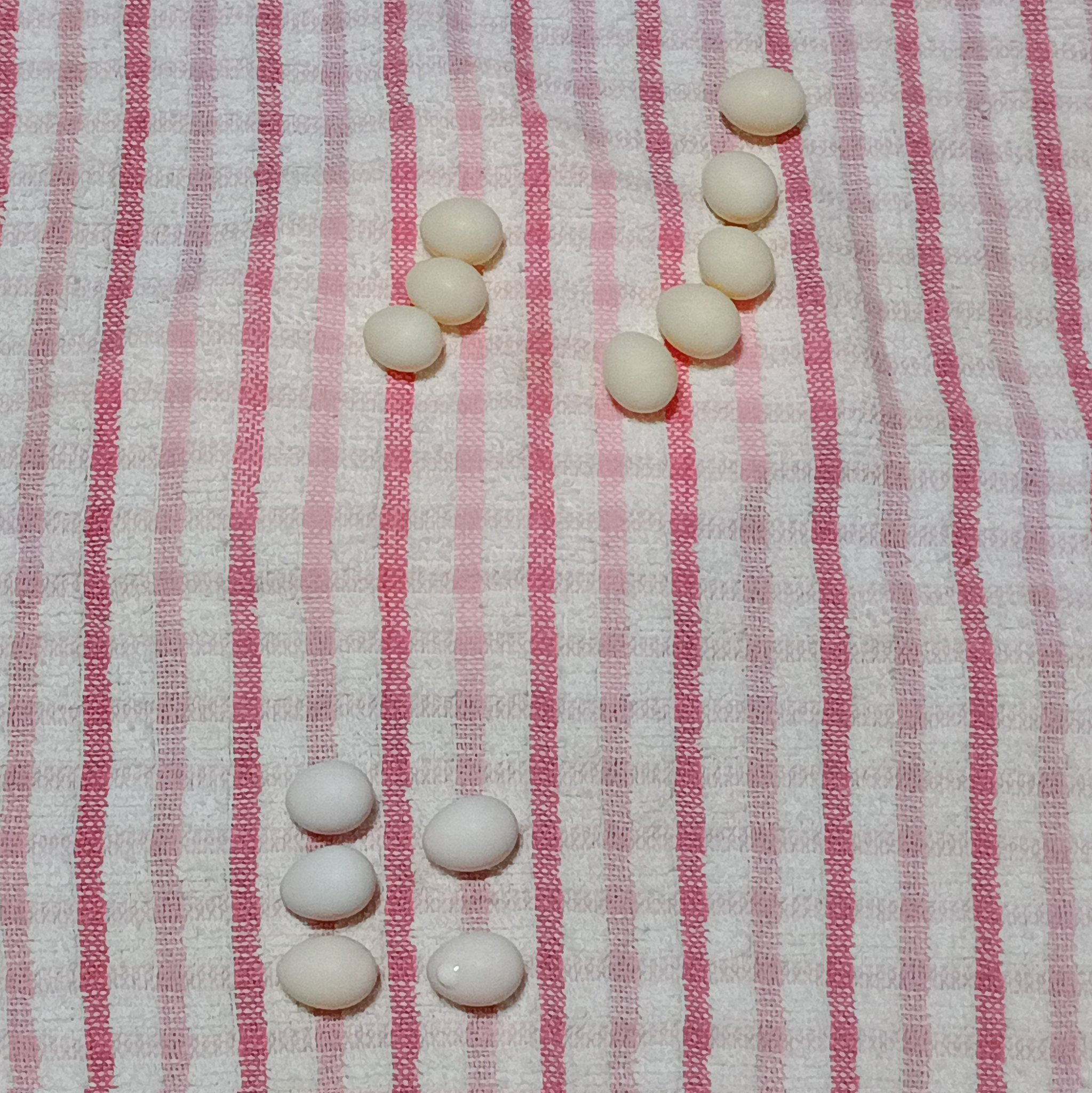 腐卵 かずさ on X: 