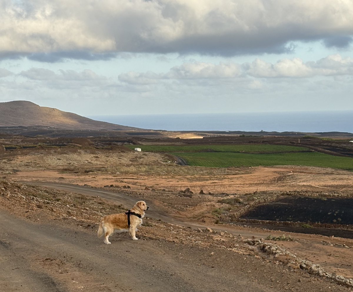 jose fernández (@josferlo) on Twitter photo Ahora sí… 
“No hay lugar como el hogar” Ahora sí… 
“No hay lugar como el hogar”